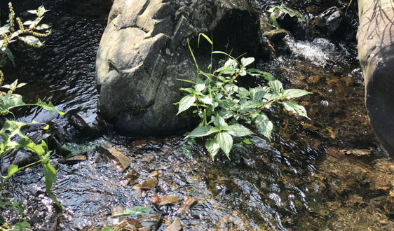 你的SS（悬浮物）为什么会超标？一定是没考虑到这5点
